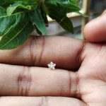 Italian Diamond Star Shape Nose Pin - Image 5